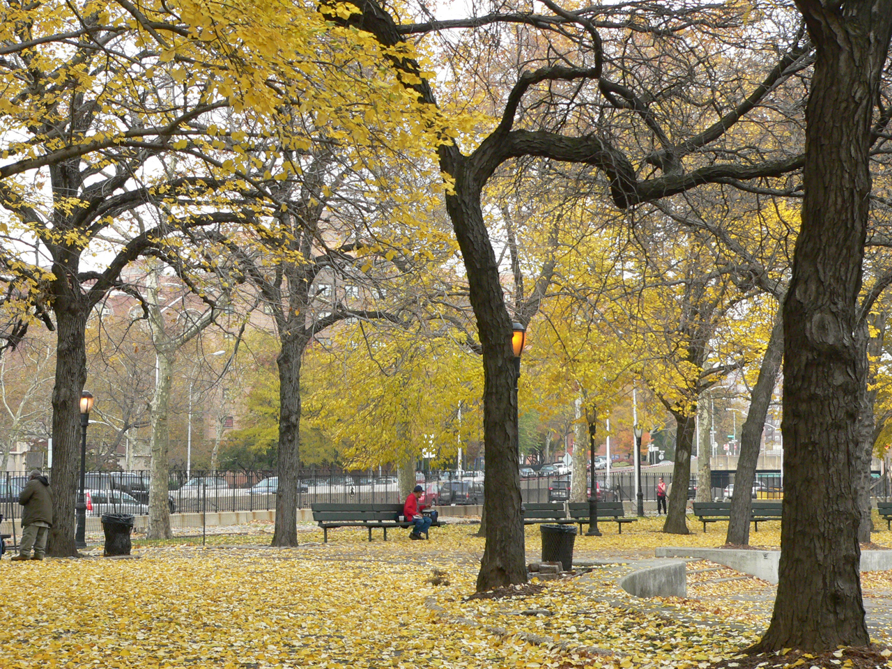 East River Park in Autumn. Photo by Pat Arnow © 2019
