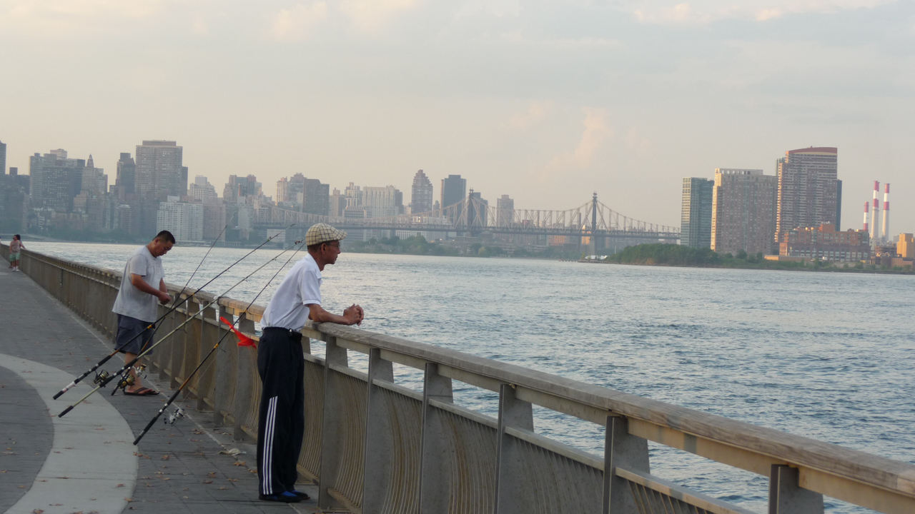 East River Park, New York. Photo by Pat Arnow © 2019